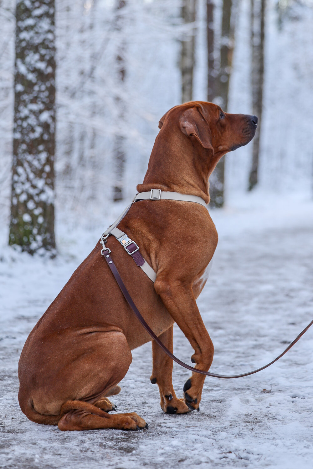 Photo #13889624
