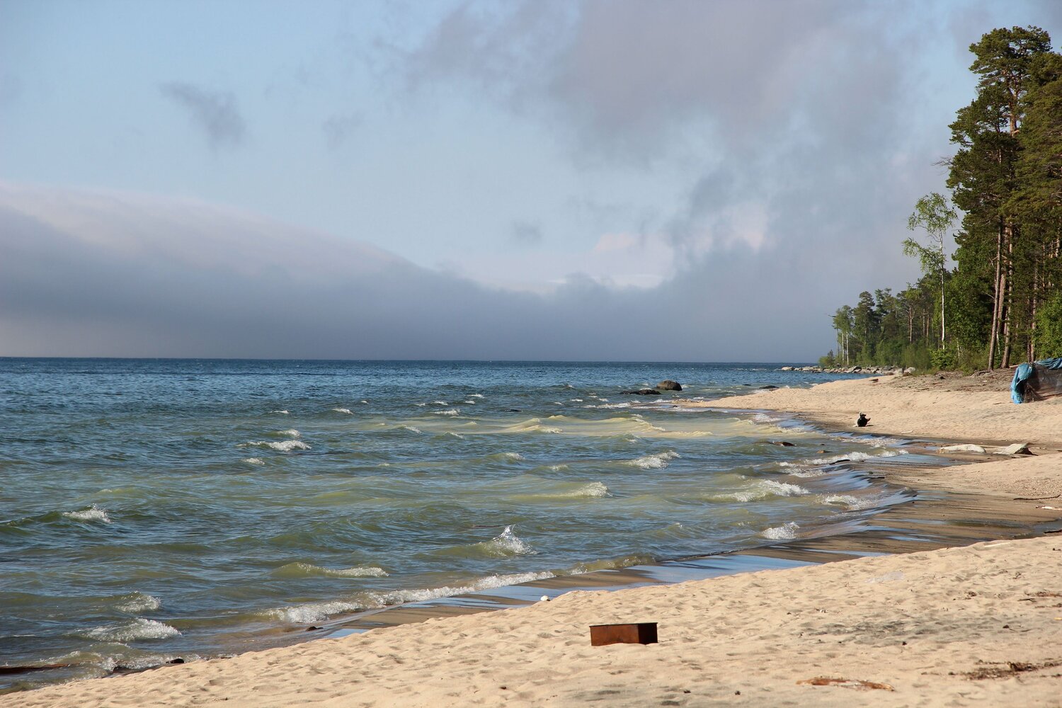 Photo #13889626