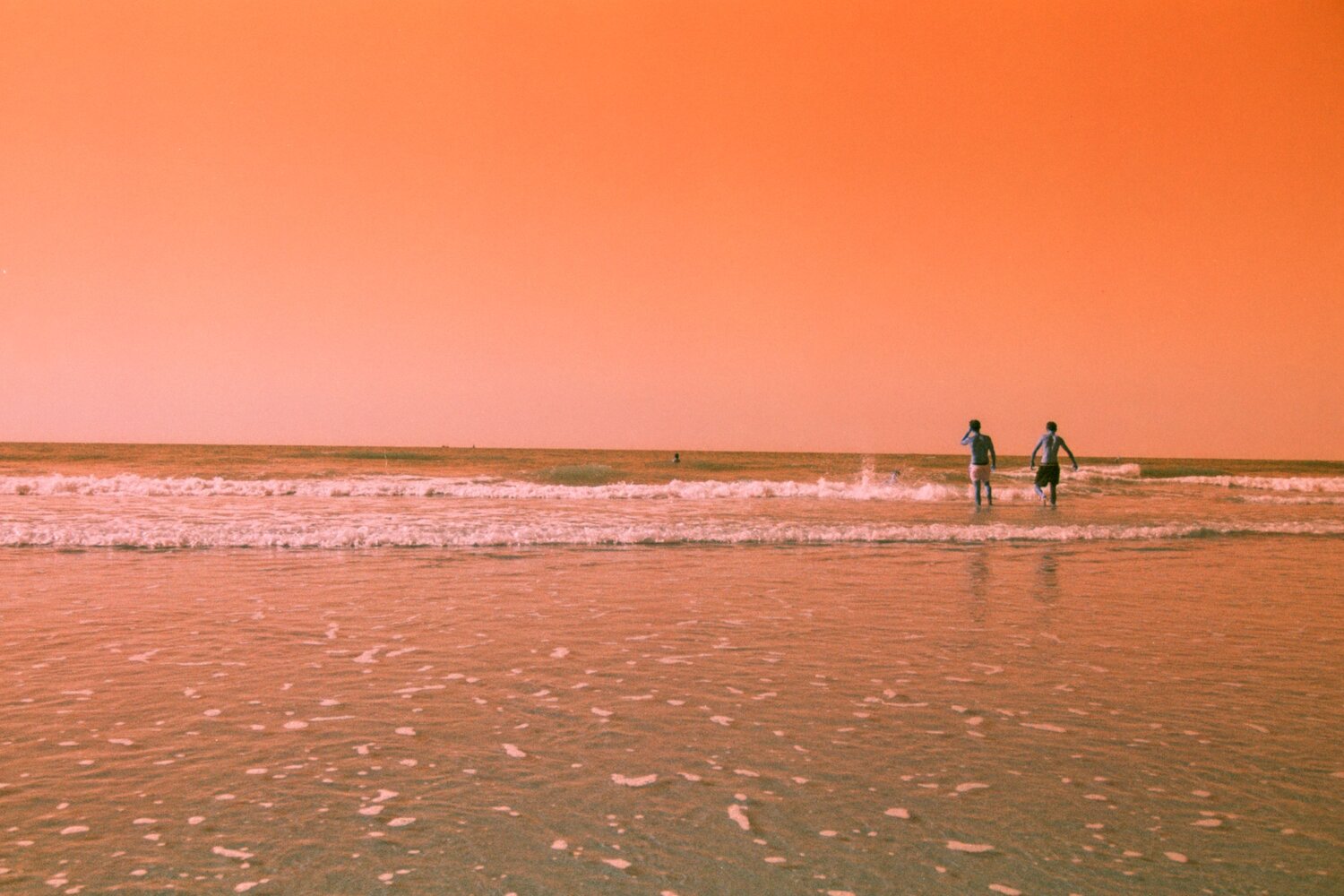 Photo #13889637