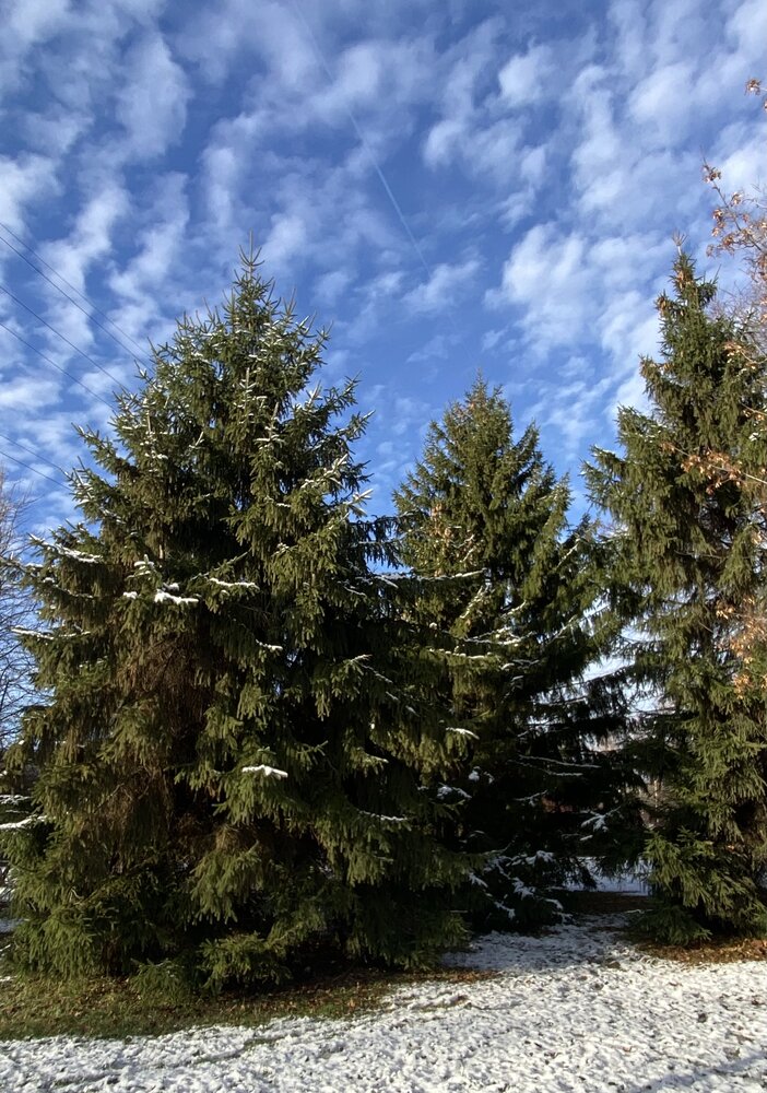 Фотография автора Наталья Мартынова