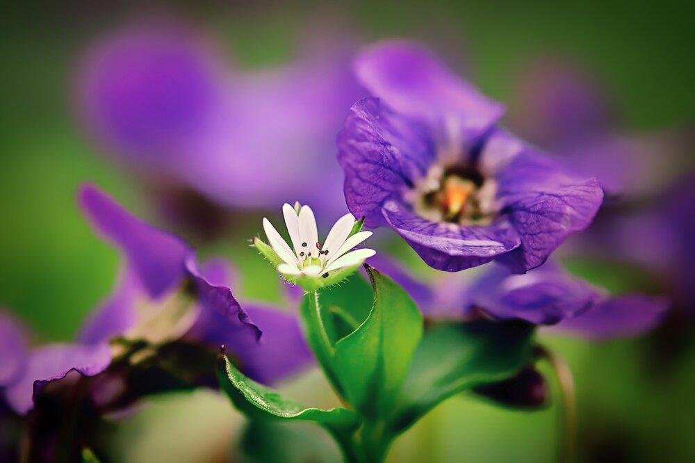 Photograph by Андрей Барышников