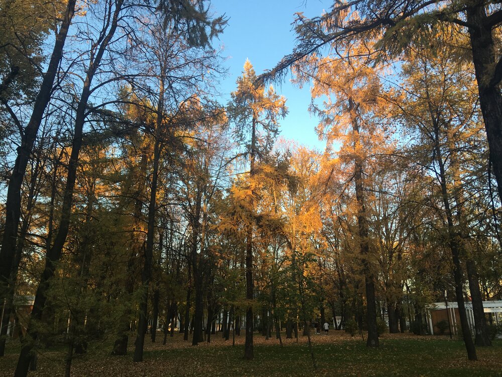 Фотография автора Наталья Мартынова