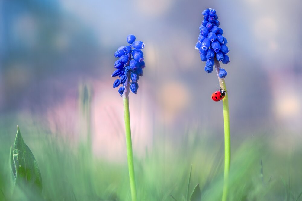 Photograph by Kveta Novotna