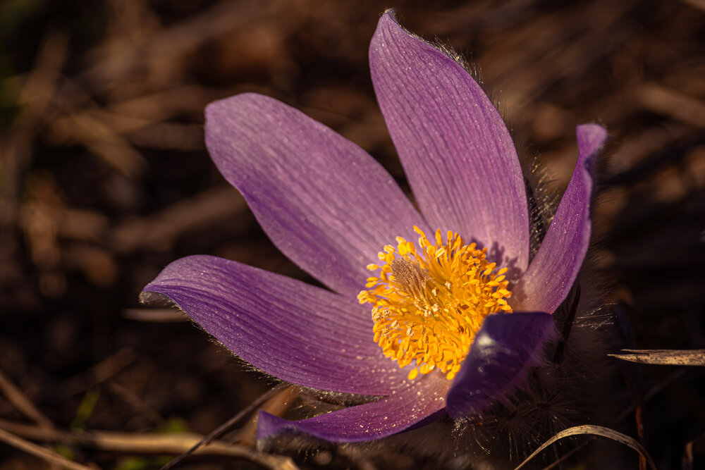 Photograph by Gregor Kobilica