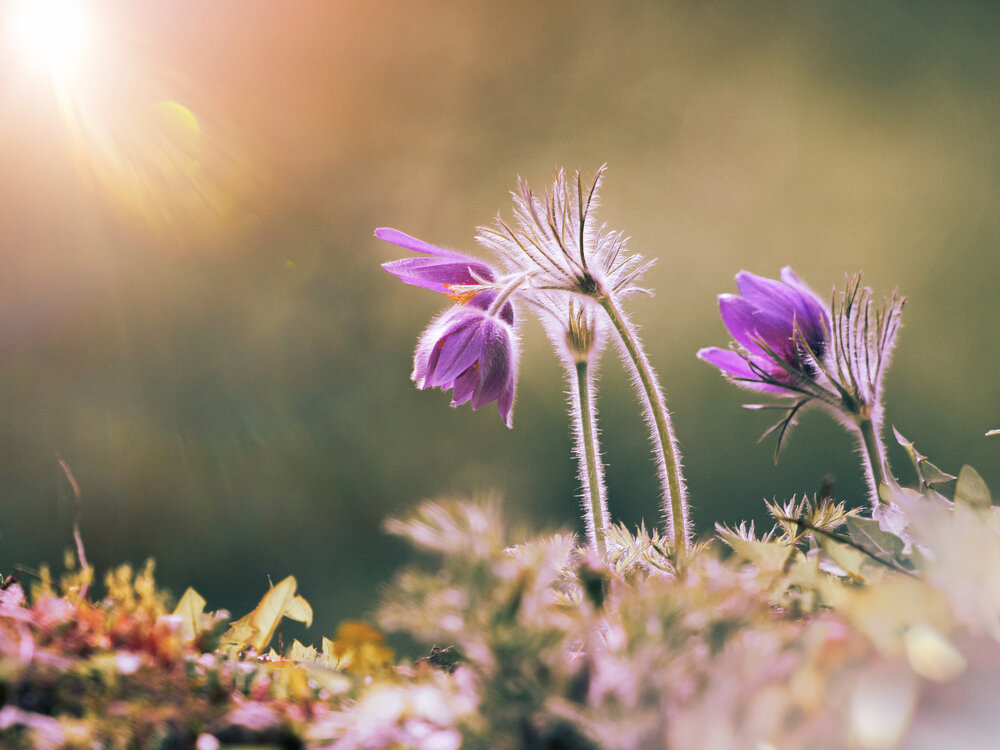 Photograph by Олеся Постнова