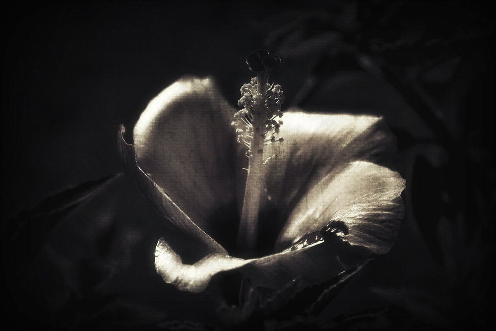 Photograph by Aleksandr Larionov