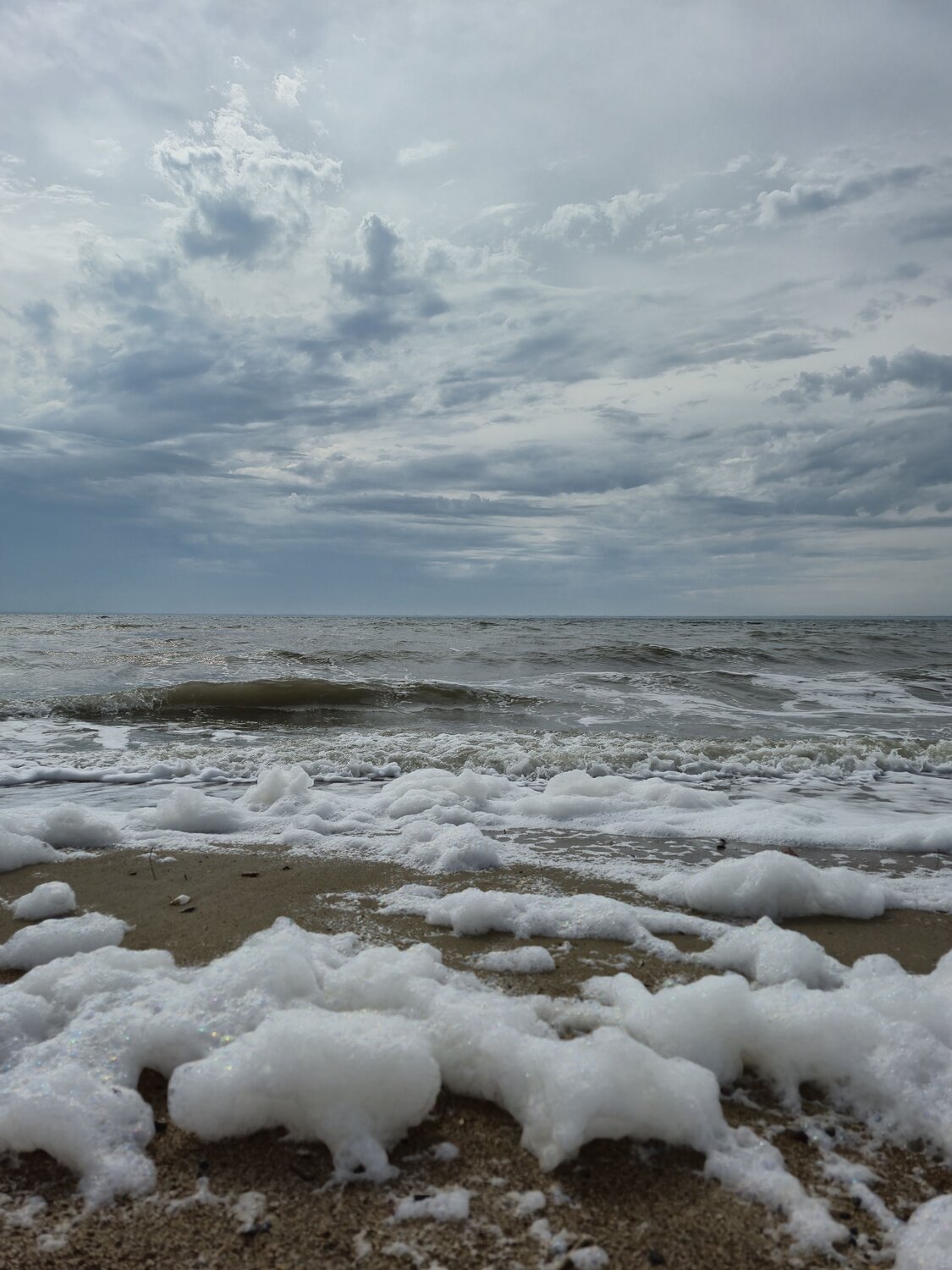 Photo #13889803