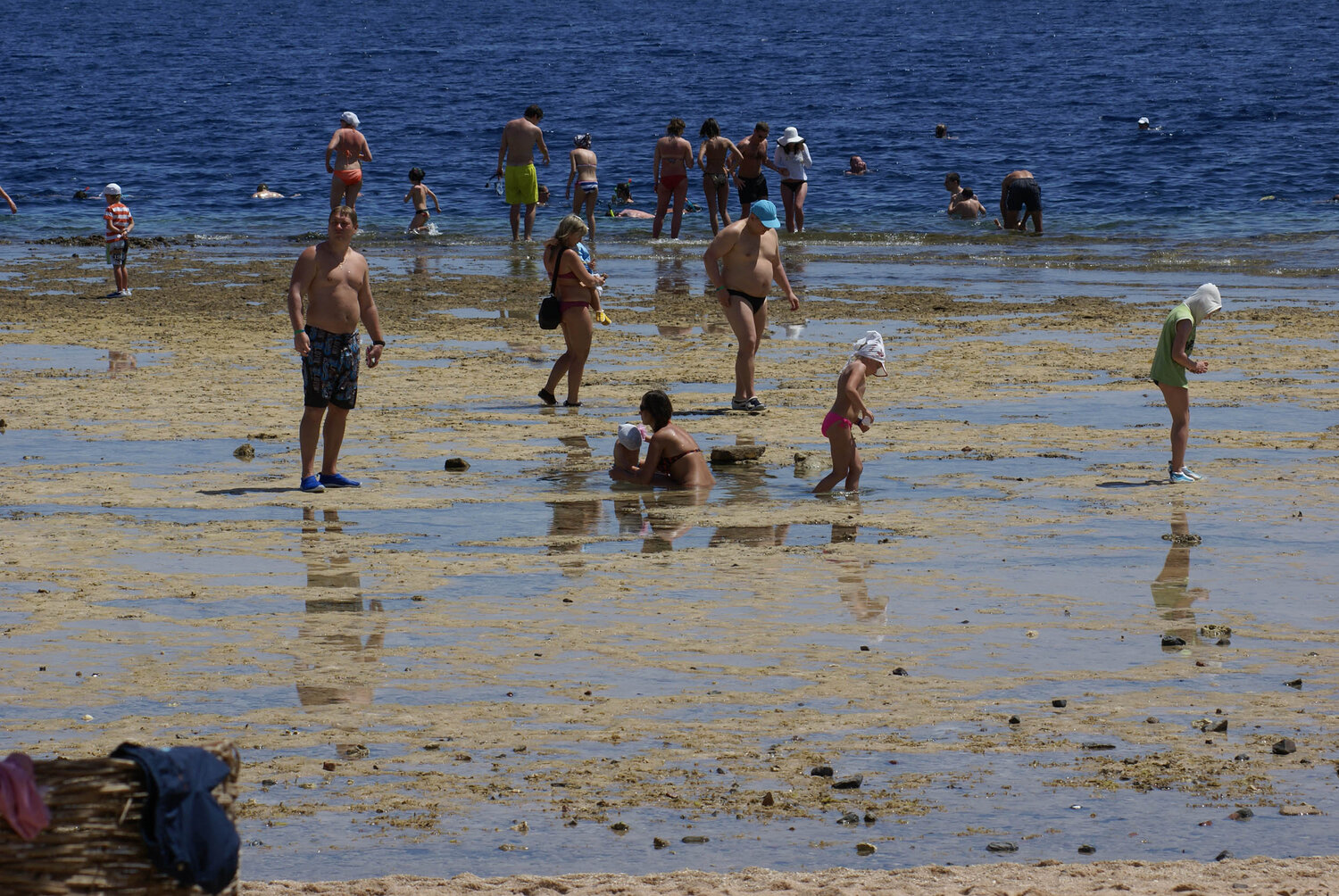 Photo #13889804