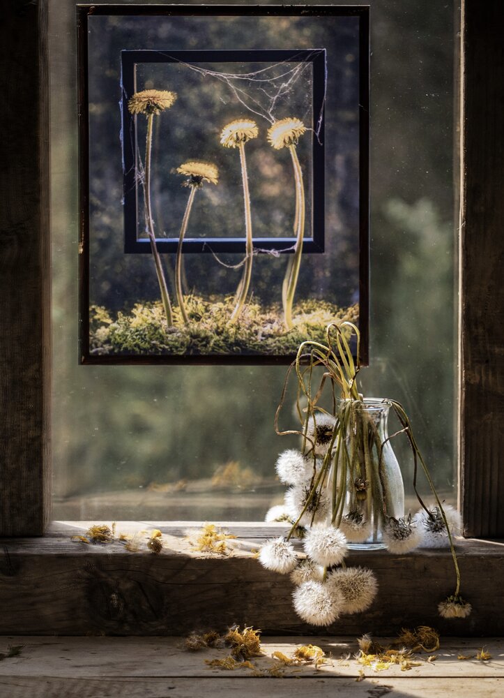 Photograph by Olga Schmidt