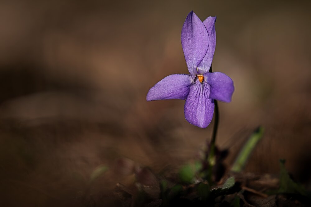 Photograph by Kveta Novotna