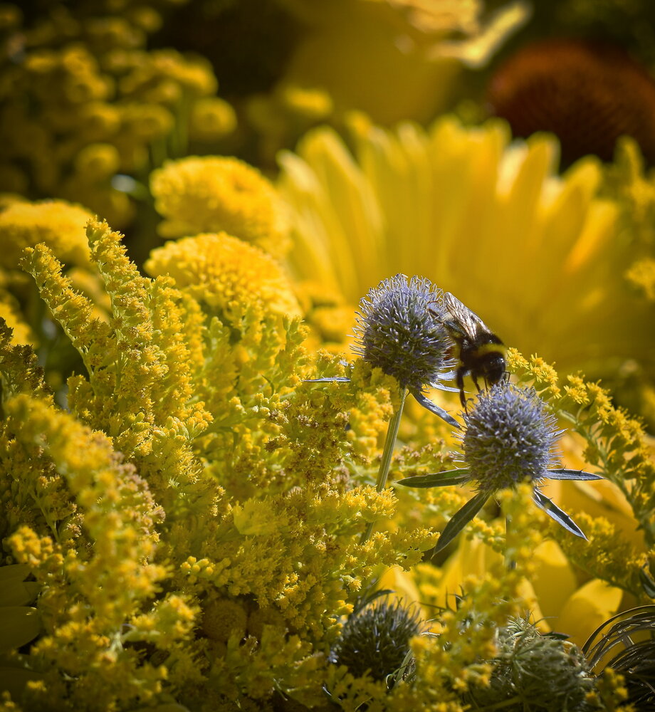 Photograph by Aleksandra Bistrova