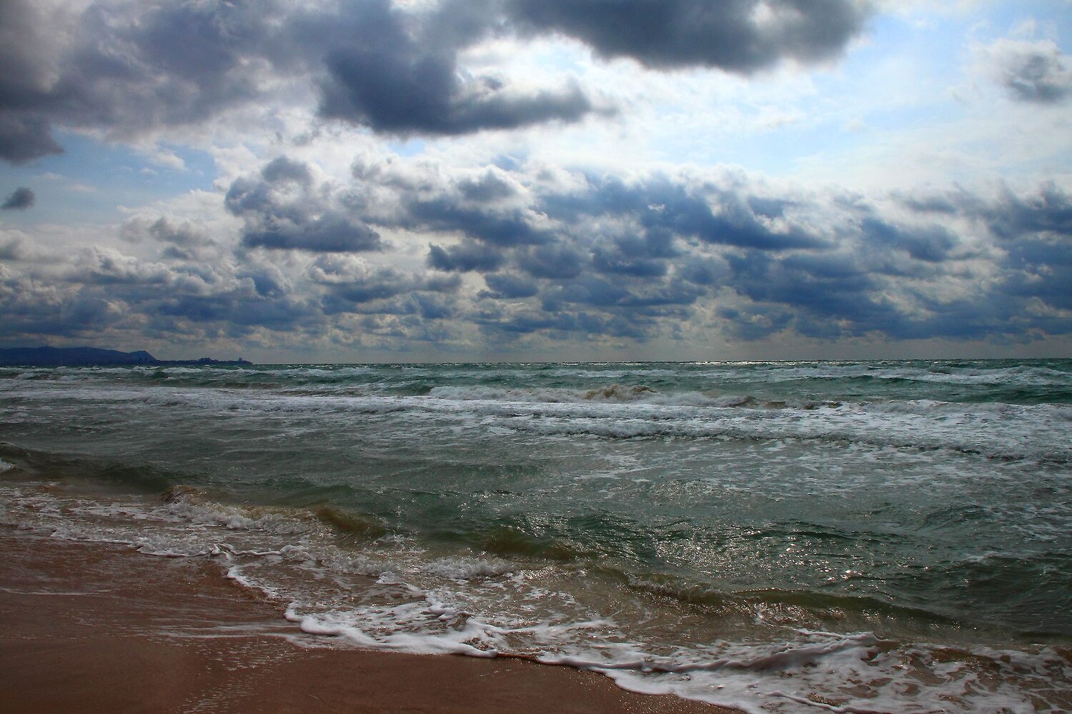 Photo #13889896