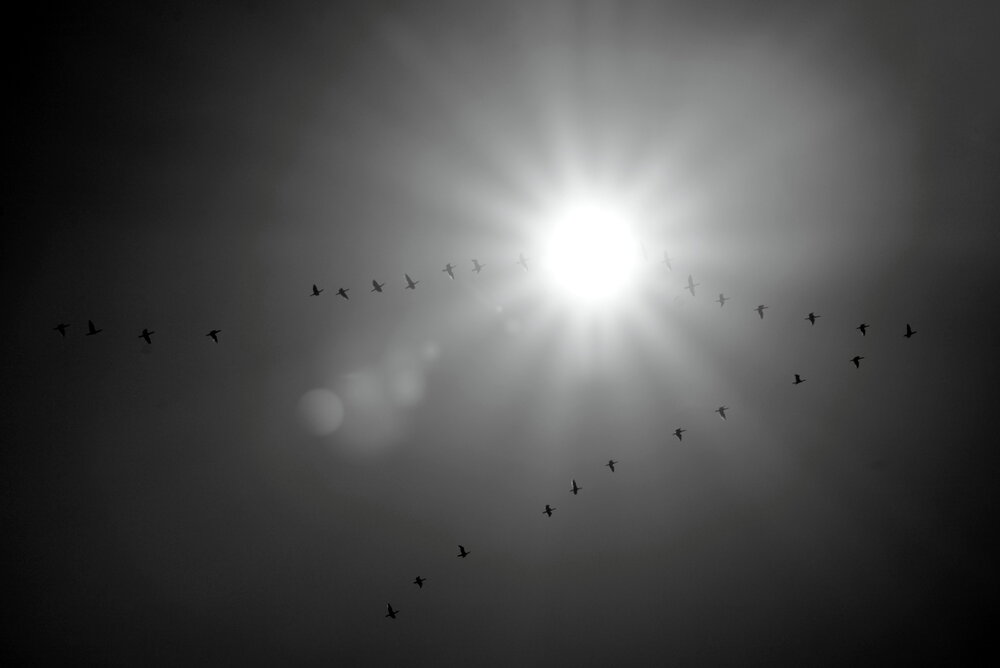 Photograph by Алексей Макаров