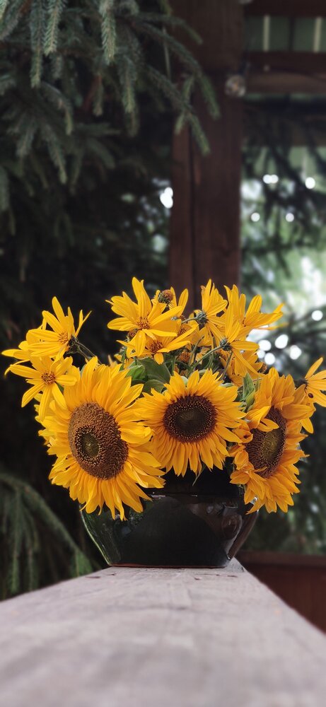 Photograph by Татьяна Тимохина