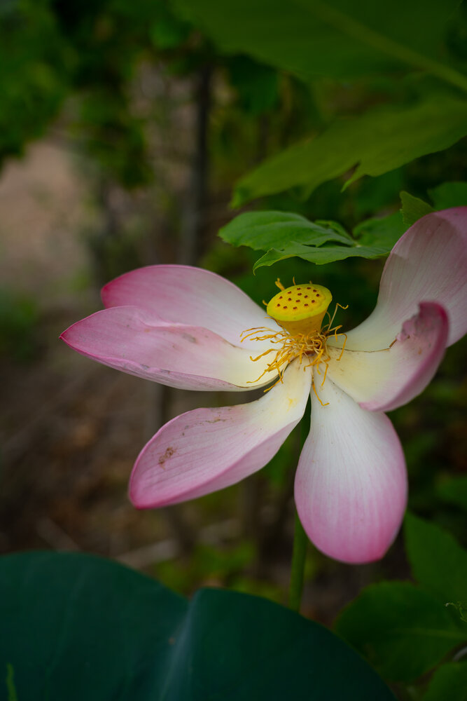 Photograph by Nina Zarubina
