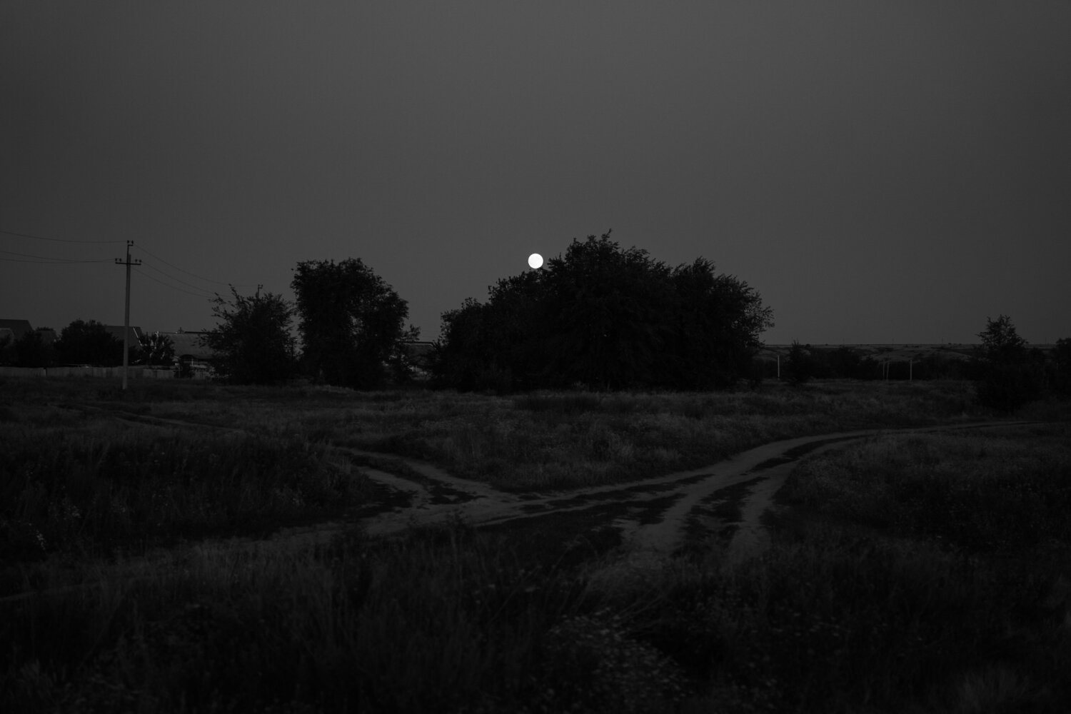 Photo #13890169