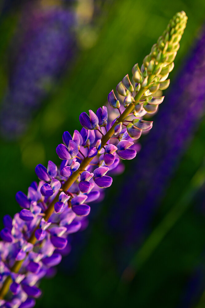Photograph by Vadik