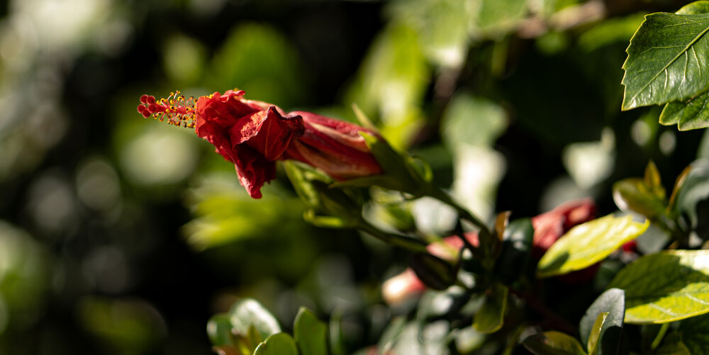 Photograph by Igor Shulkin