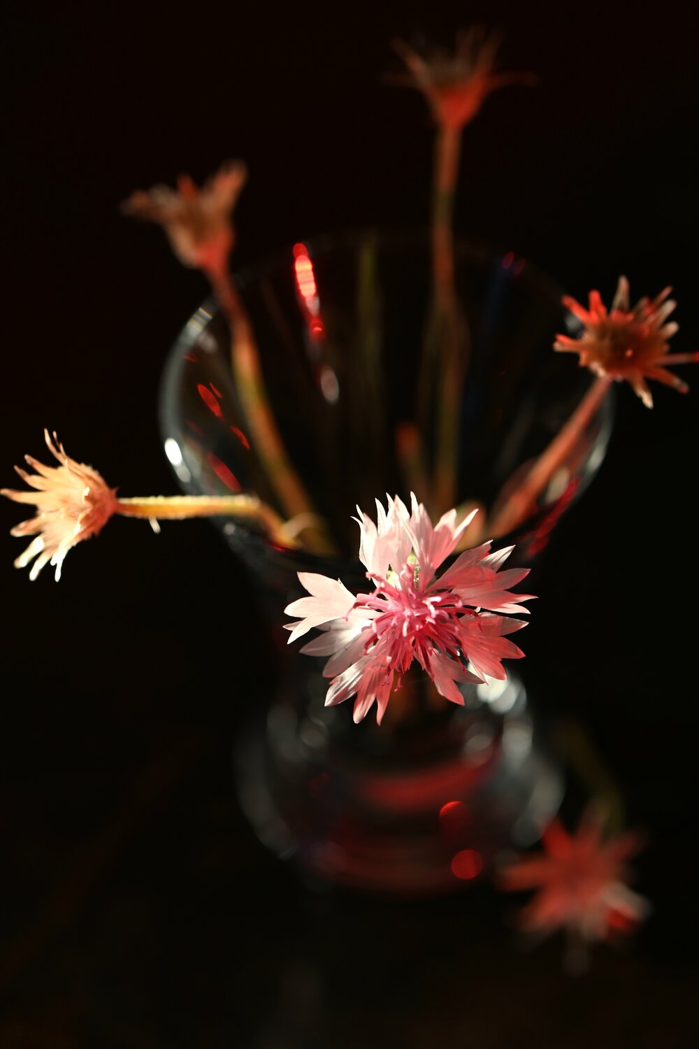 Photo #13890230