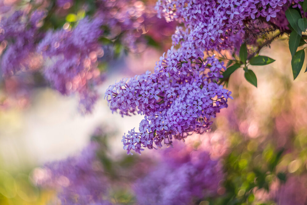 Photograph by Arina Bogachyova