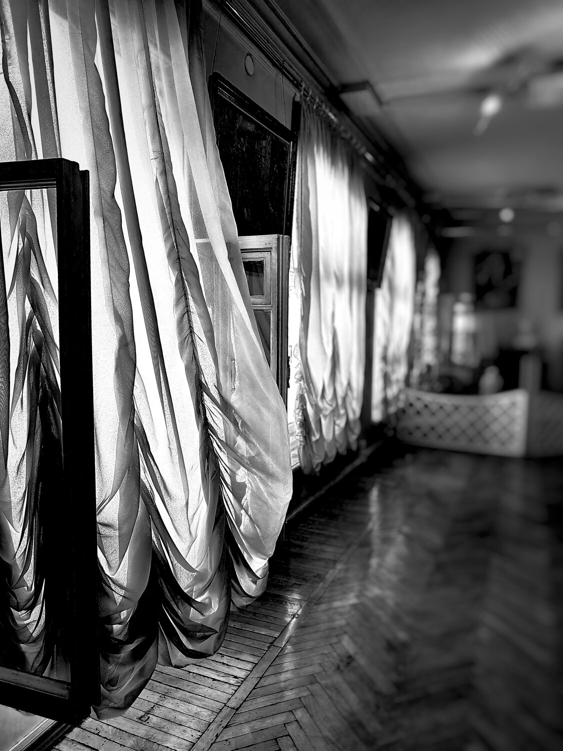 Photo #13890304