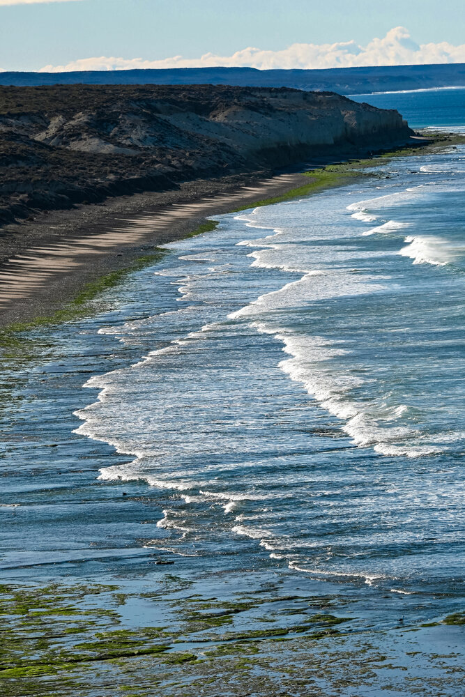 Rhythm of the Patagonian Shore