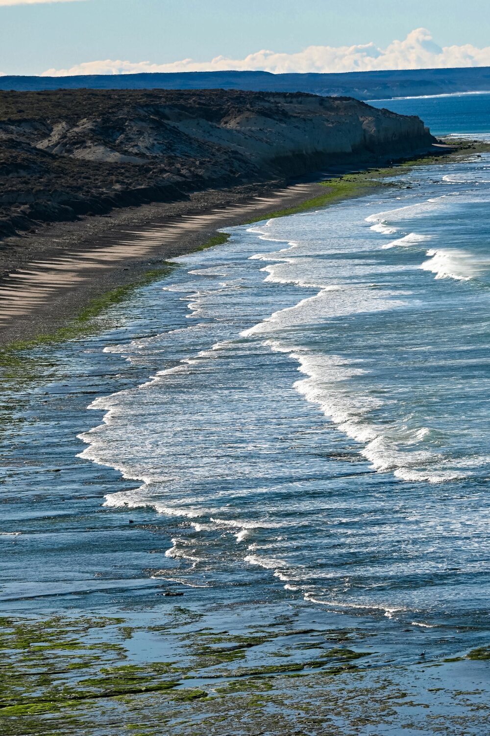 Rhythm of the Patagonian Shore