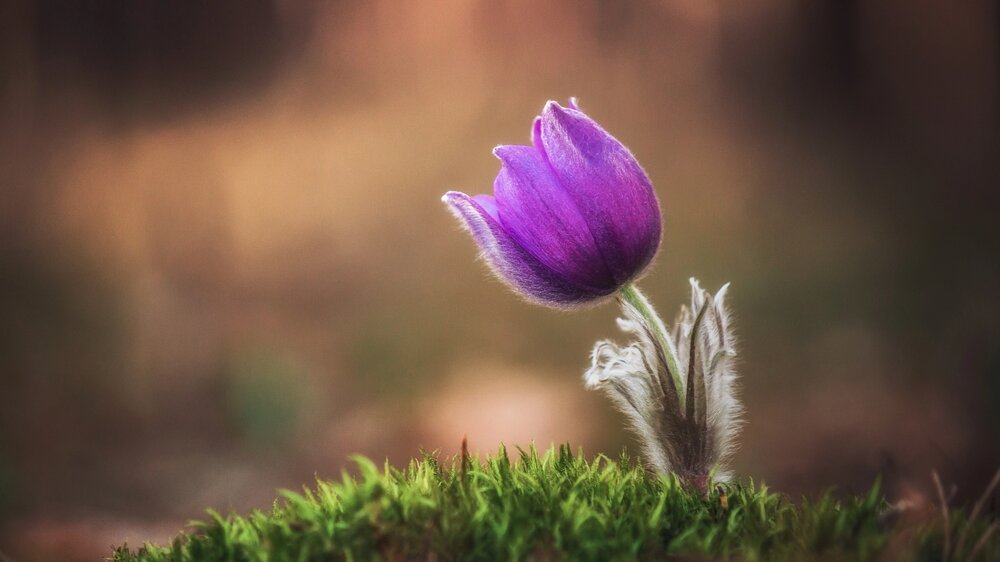 Photograph by Alexander Eliseev