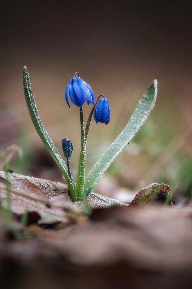 Photograph by Alexander Eliseev
