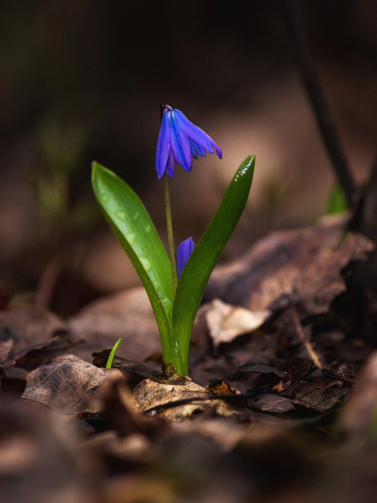 Photograph by Alexander Eliseev