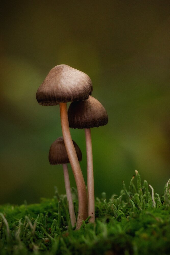 Photograph by Александр Елисеев