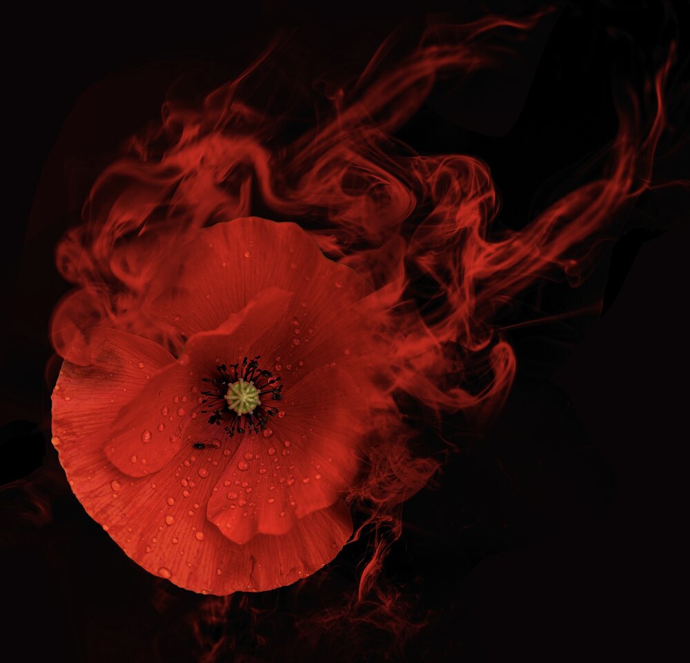 Photograph by Ken Underhay