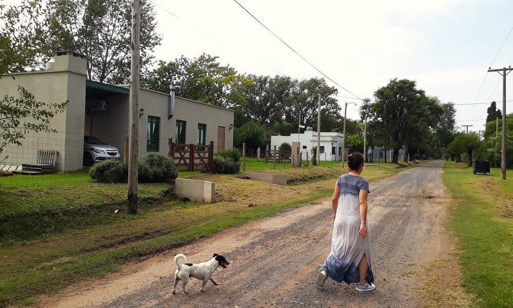 Photo #13890530