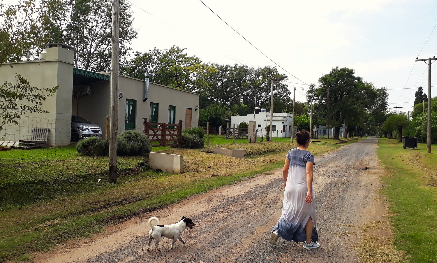 Photo #13890530