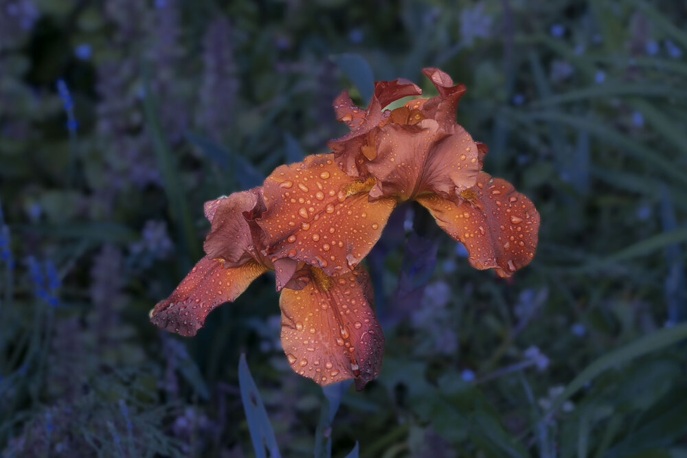 Photograph by Борис Полтавец