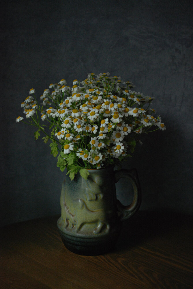 Photograph by Евгений Зачепило