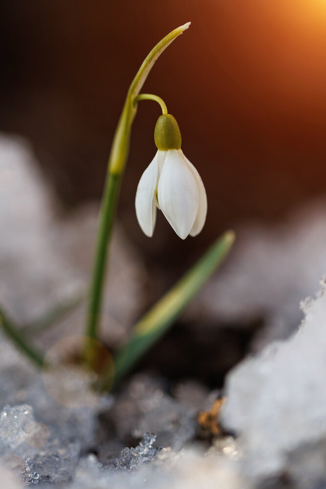 Photograph by Владимир Л