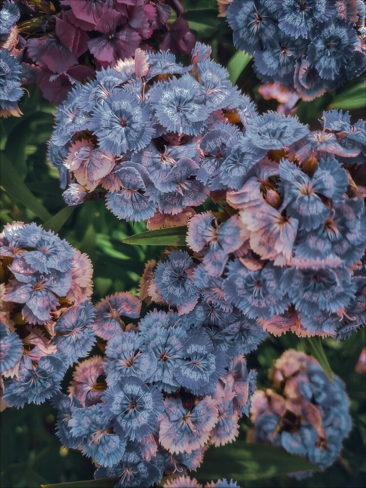 Photograph by Мария Самохвалова