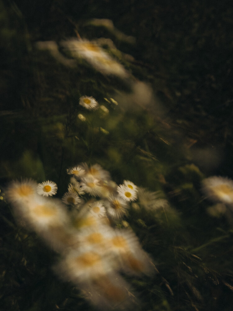 Photograph by Алиса Чугунова