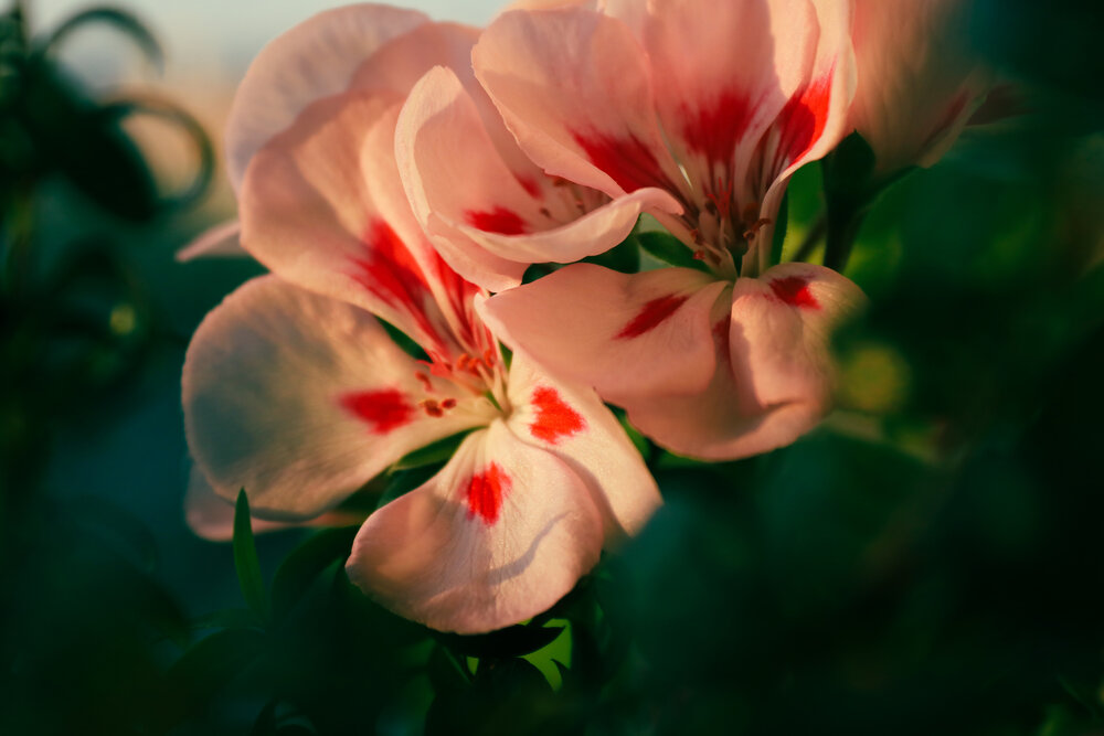 Photograph by Lina Slavinskaya