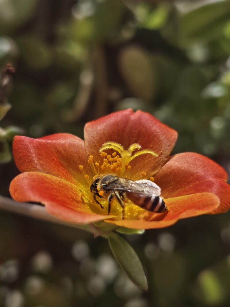 Photograph by Chithra menon