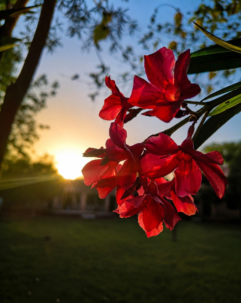 Photograph by Manav Swami