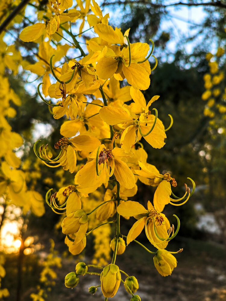 Photograph by Manav Swami