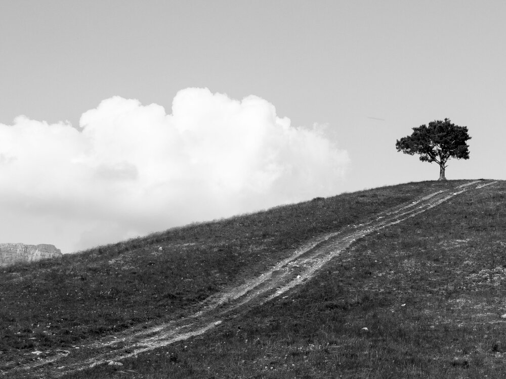 Photograph by Борис Полтавец
