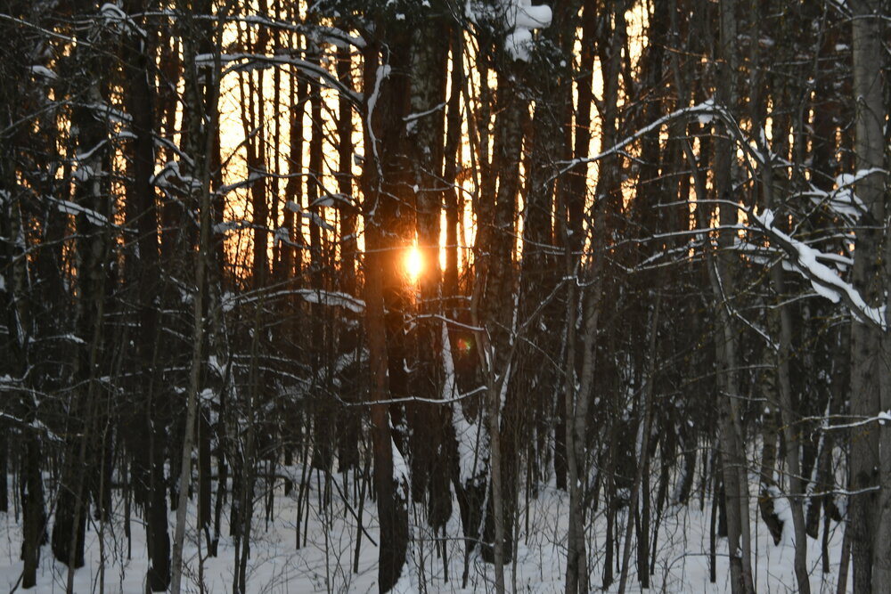 Photograph by Дмитрий Зенкин