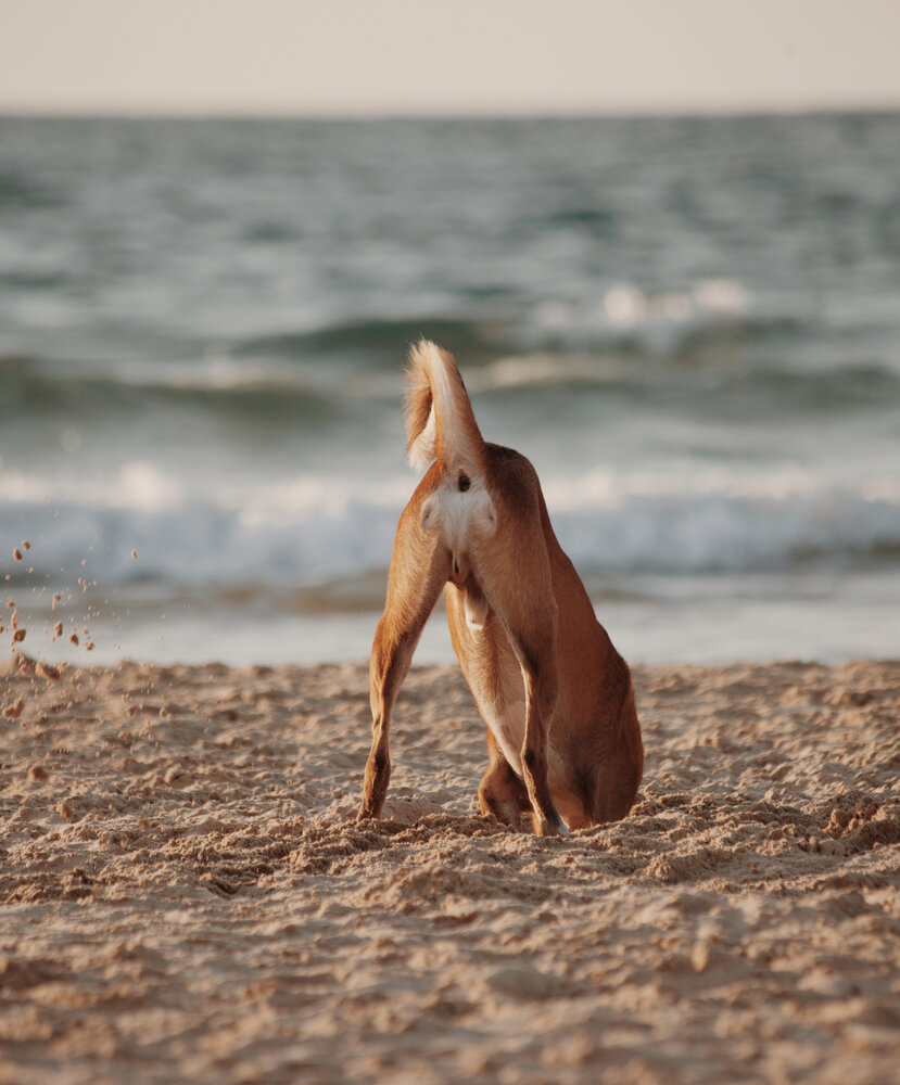 Photograph by Galina Sa