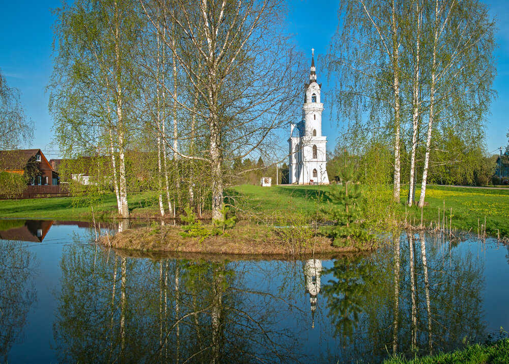Фотография автора Ольга Холкина