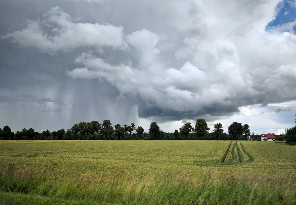 Photograph by Olga Asson