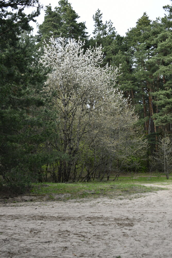 Photograph by Дмитрий Зенкин