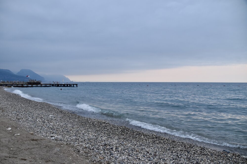 Photograph by Elvira